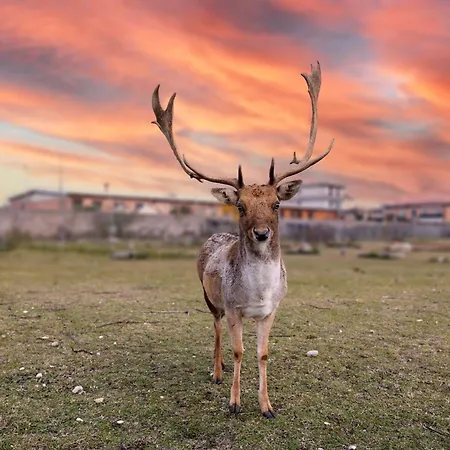 La Caporala Castel d'Azzano