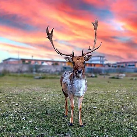 Hotel La Caporala 3*